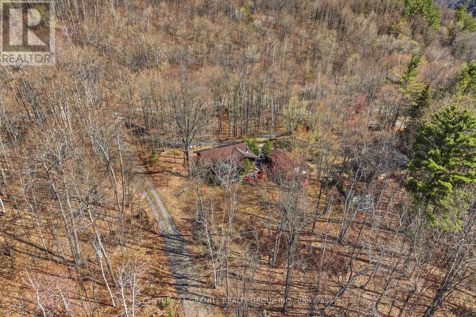 2349 N Baptise Lake Road, Hastings Highlands, Ontario K0L 1C0 - Photo 43 - X13112316
