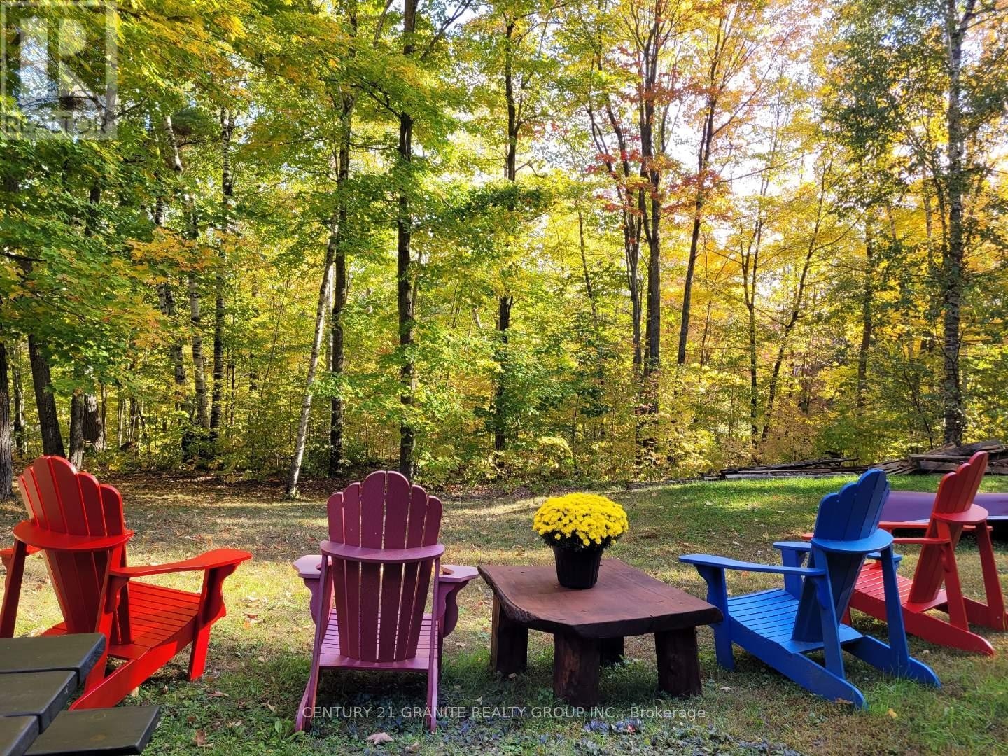 2349 N Baptise Lake Road, Hastings Highlands, Ontario K0L 1C0 - Photo 47 - X13112316