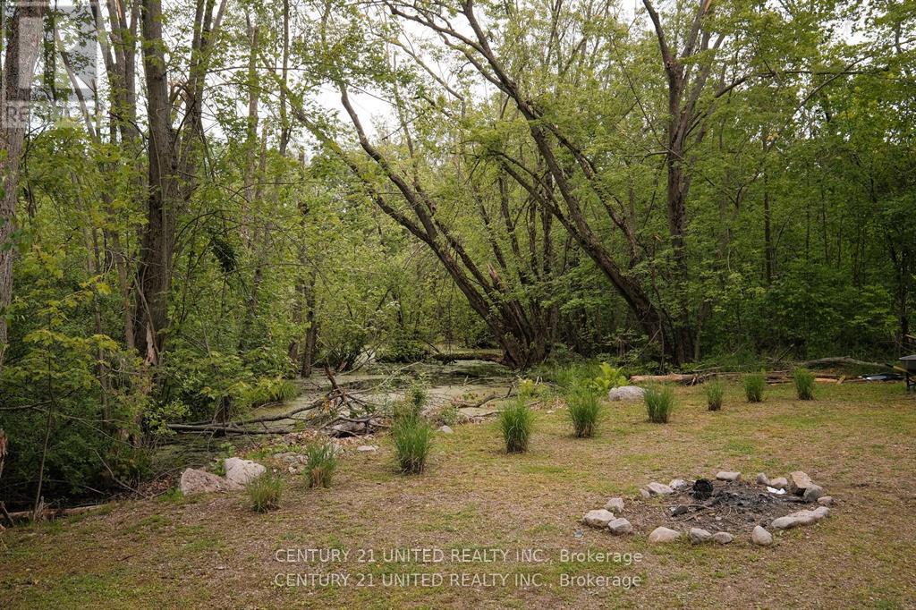 4 Rollies Bay Road E, Curve Lake First Nation 35, Ontario K0L 1R0 - Photo 28 - X13113616