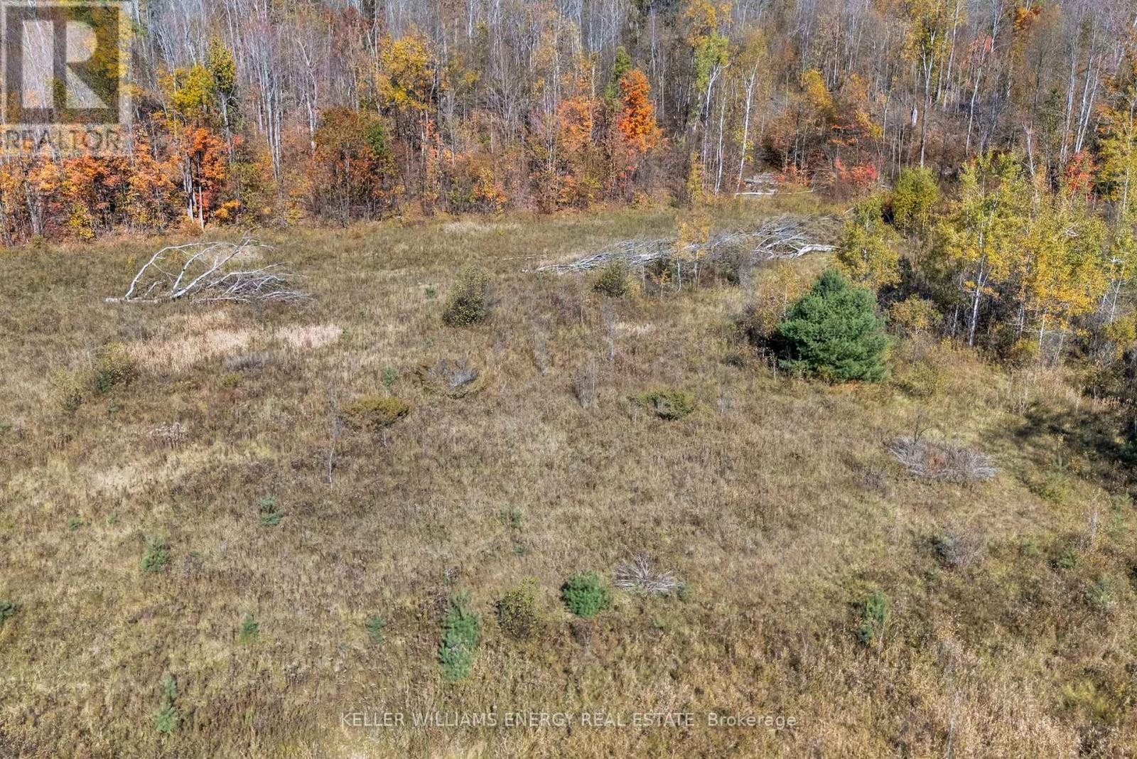 14794 Hwy 62 Highway, Madoc, Ontario  K0K 2K0 - Photo 13 - X13120044