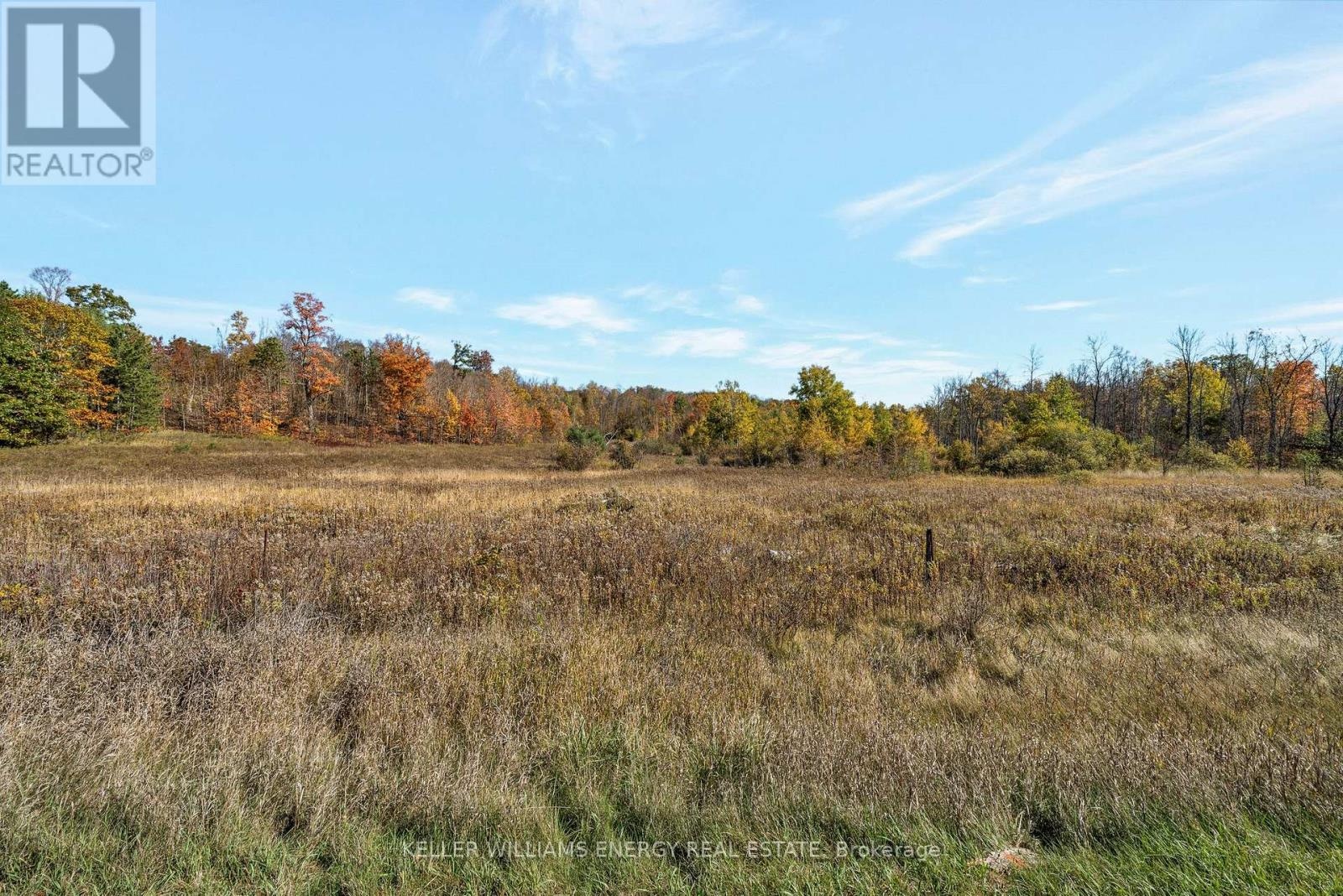 14794 Hwy 62 Highway, Madoc, Ontario  K0K 2K0 - Photo 17 - X13120044
