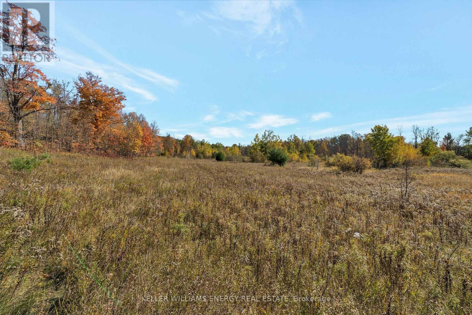 14794 Hwy 62 Highway, Madoc, Ontario  K0K 2K0 - Photo 18 - X13120044
