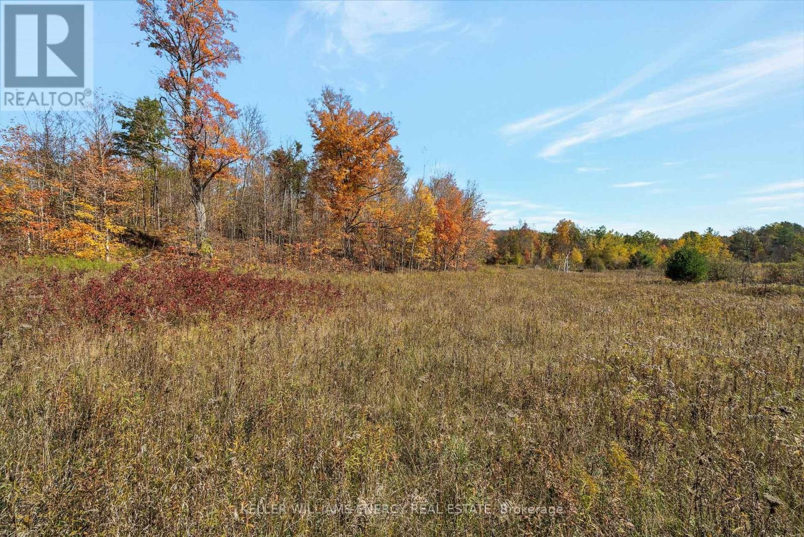 14794 Hwy 62 Highway, Madoc, Ontario  K0K 2K0 - Photo 19 - X13120044