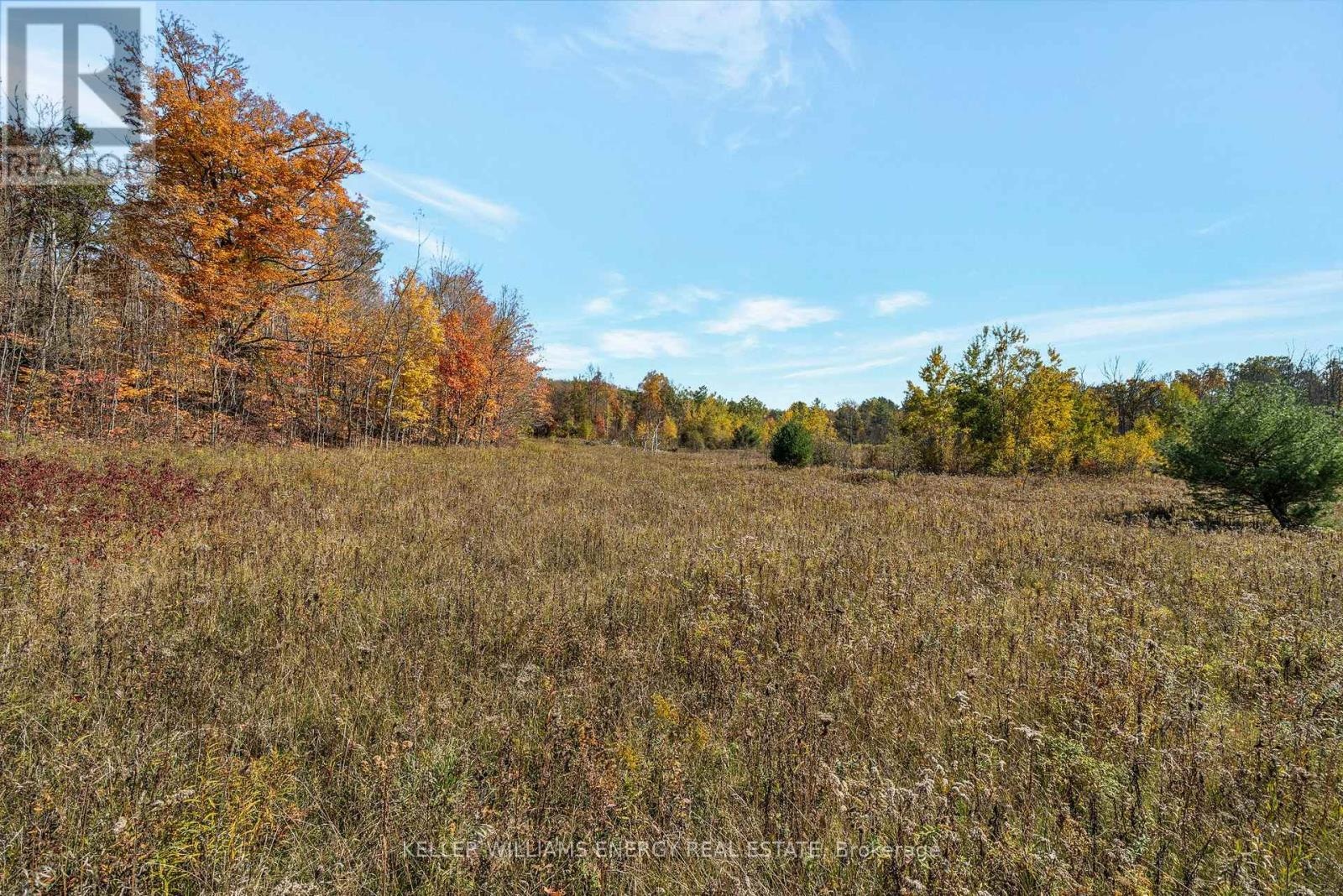 14794 Hwy 62 Highway, Madoc, Ontario  K0K 2K0 - Photo 21 - X13120044