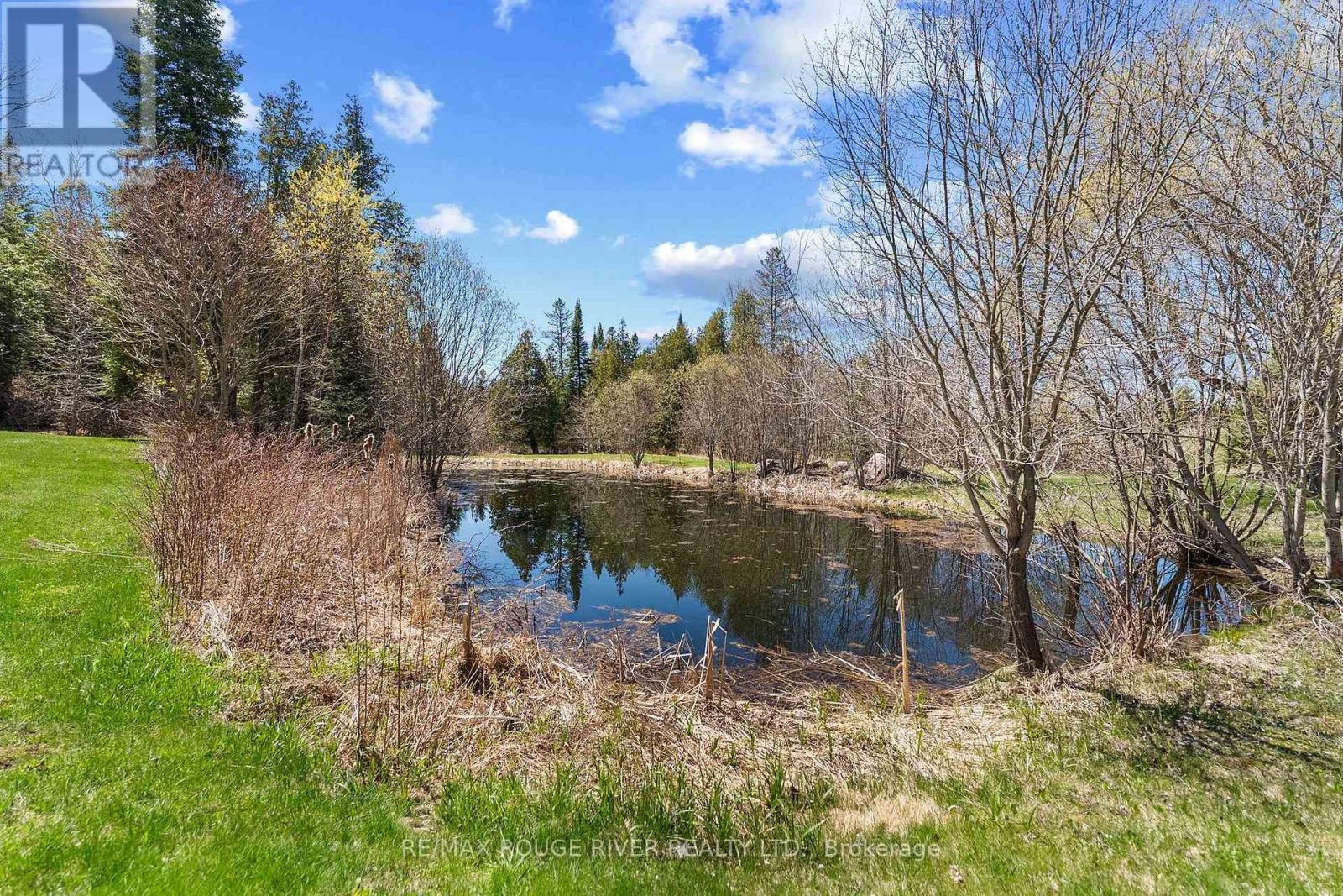253 Hass Road, Carlow/mayo, Ontario  K0L 1G0 - Photo 36 - X13123528
