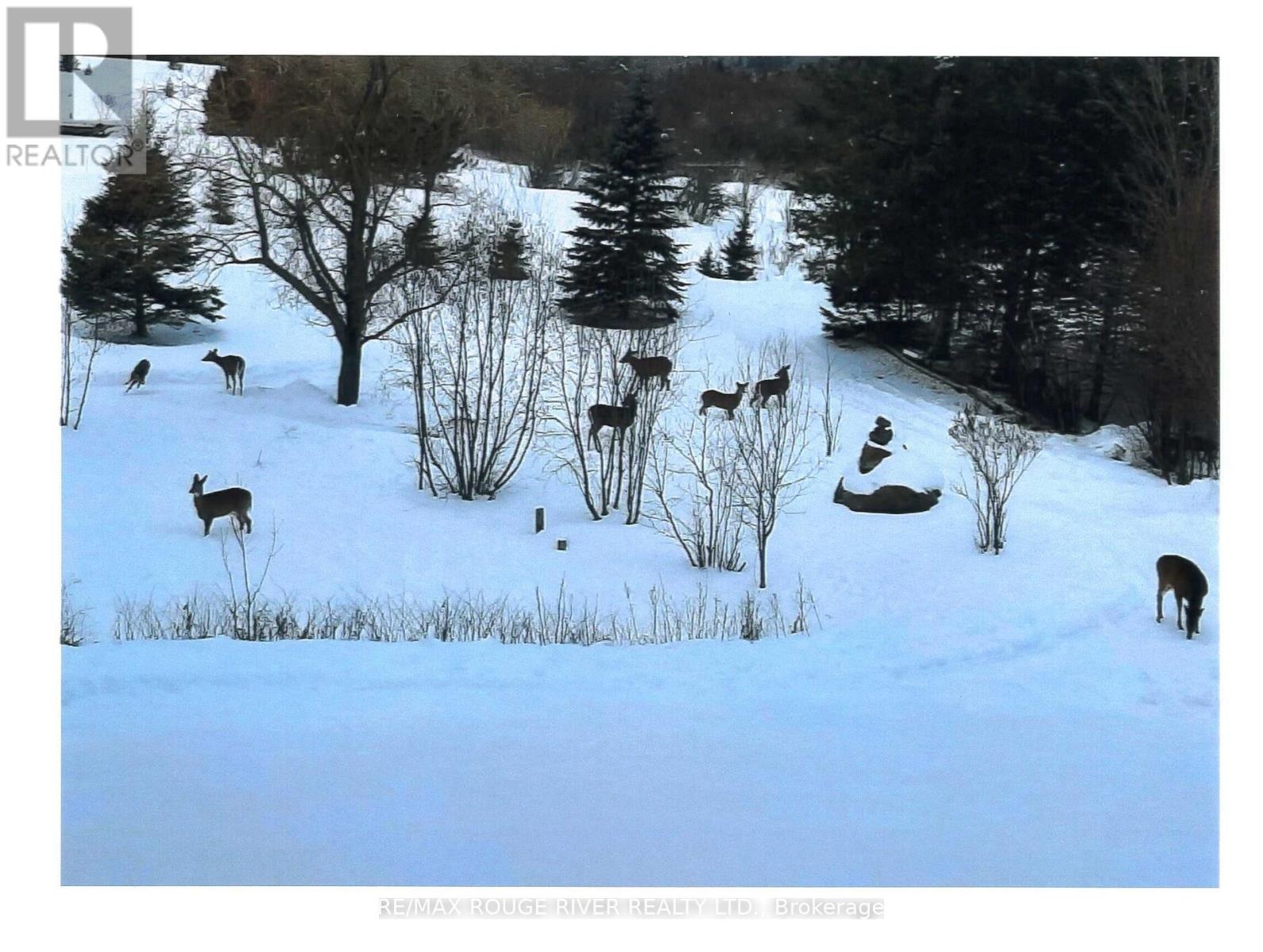253 Hass Road, Carlow/mayo, Ontario  K0L 1G0 - Photo 48 - X13123528