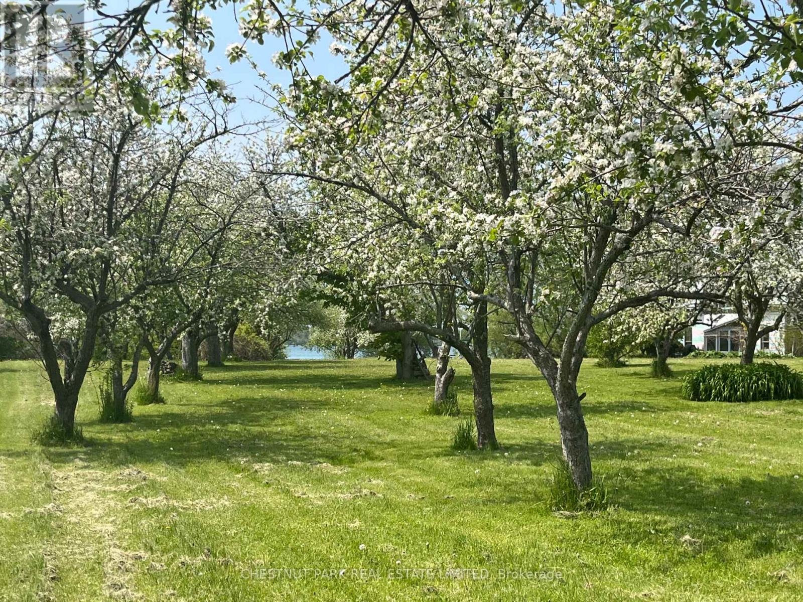 3071 County Road 13, Prince Edward County, Ontario  K0K 2T0 - Photo 46 - X13124276