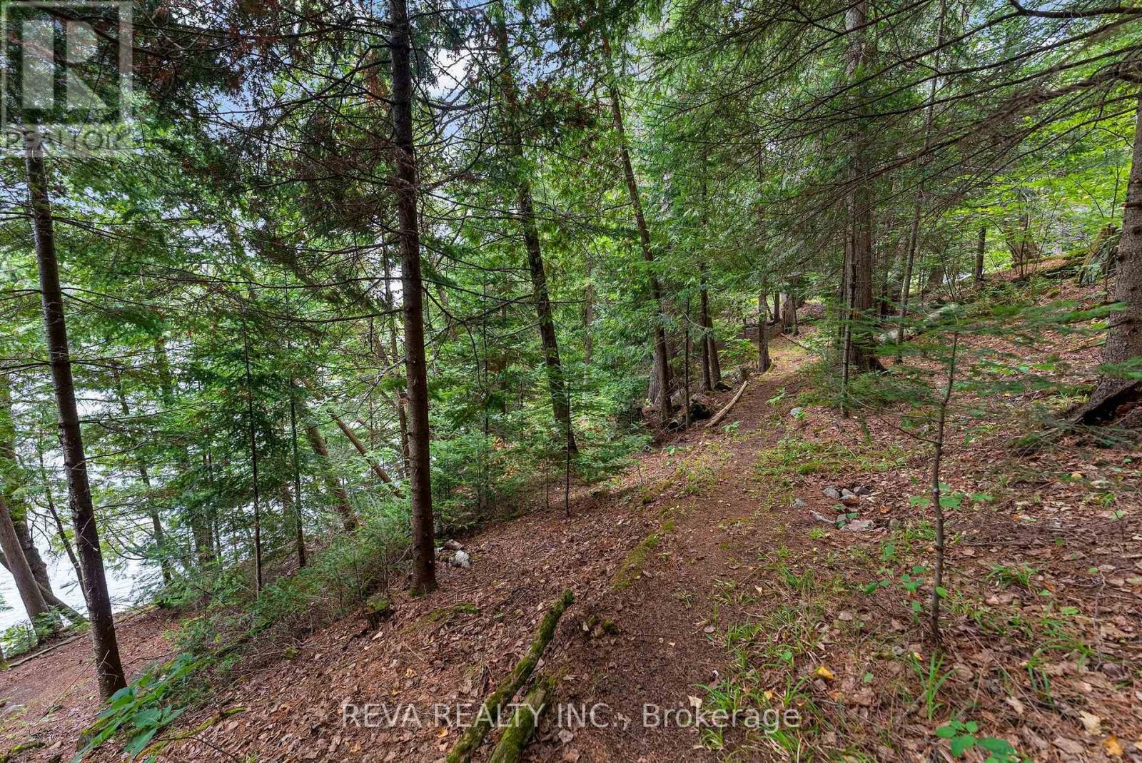 156 Ponacka Road, Hastings Highlands, Ontario K0L 1C0 - Photo 36 - X13125030