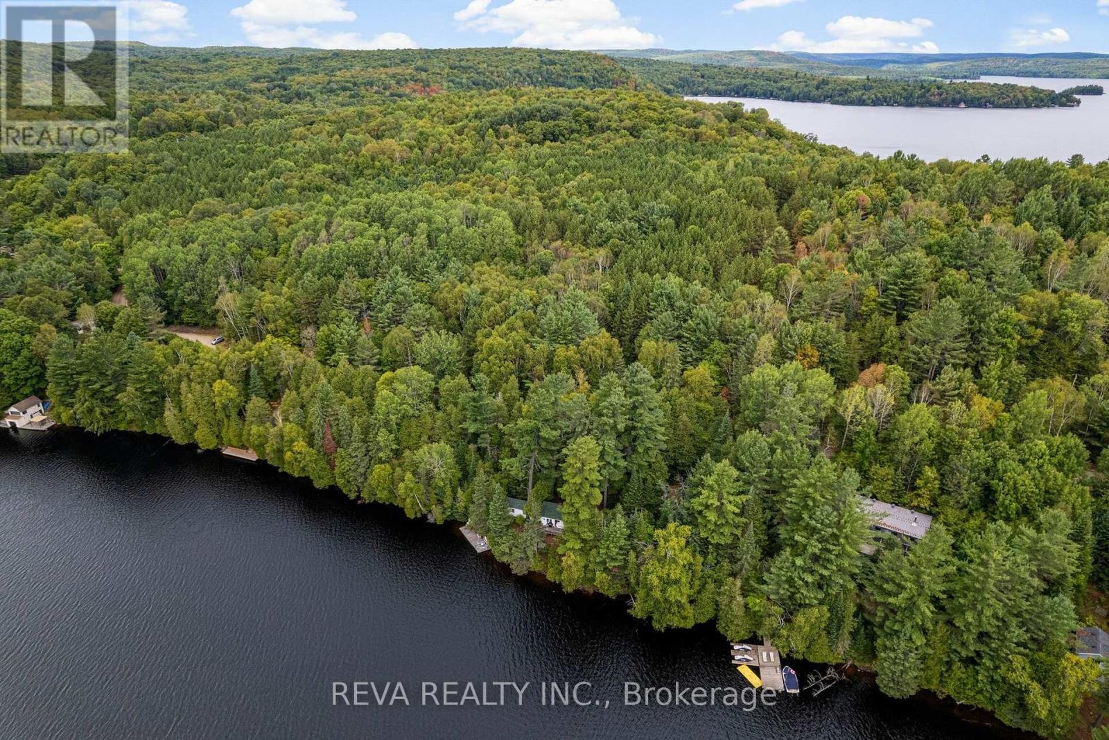 156 Ponacka Road, Hastings Highlands, Ontario K0L 1C0 - Photo 46 - X13125030
