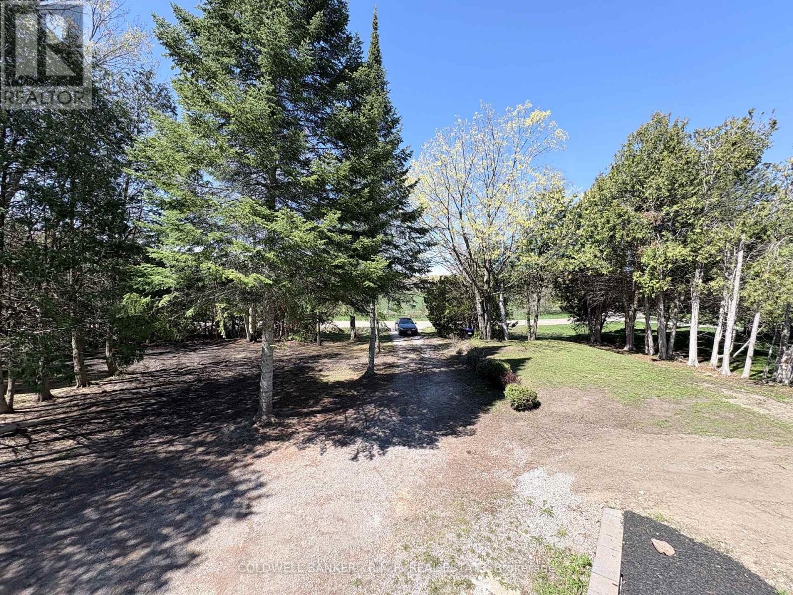 1355 Furniss Drive, Ramara, Ontario  L0K 1B0 - Photo 31 - S13127670