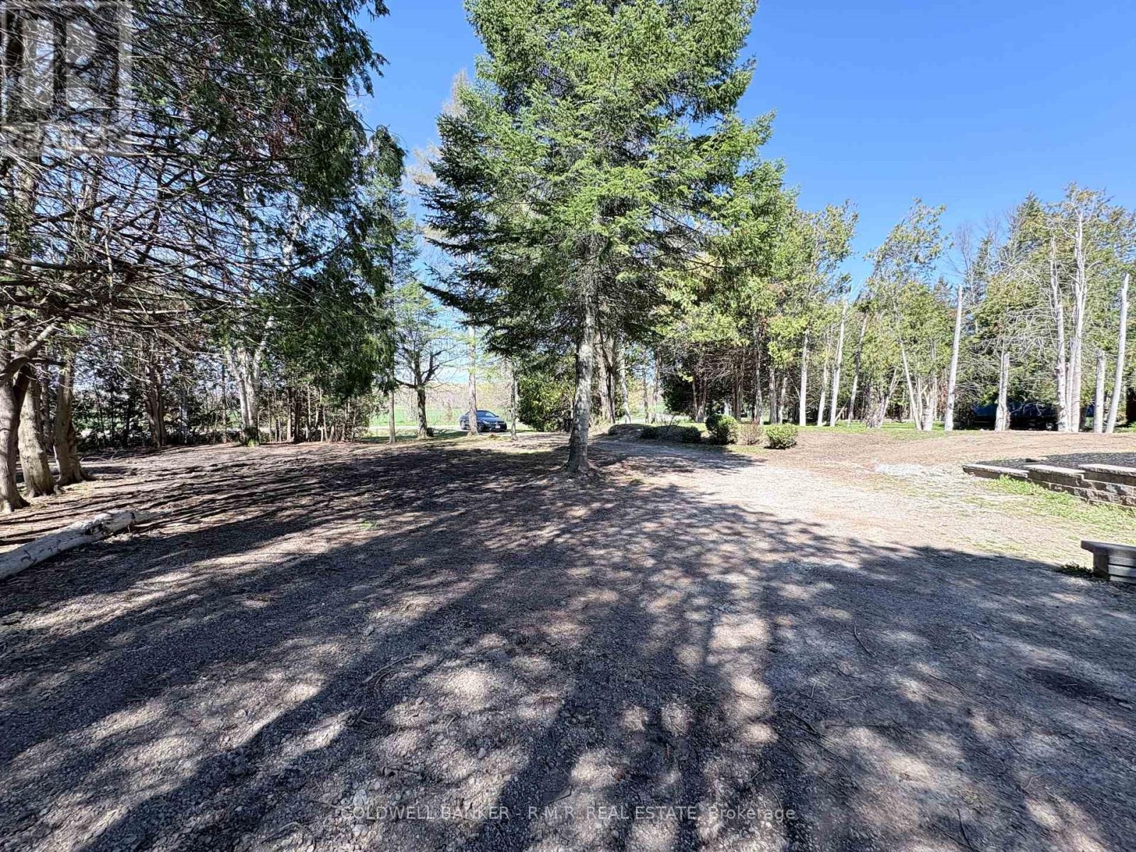 1355 Furniss Drive, Ramara, Ontario  L0K 1B0 - Photo 5 - S13127670