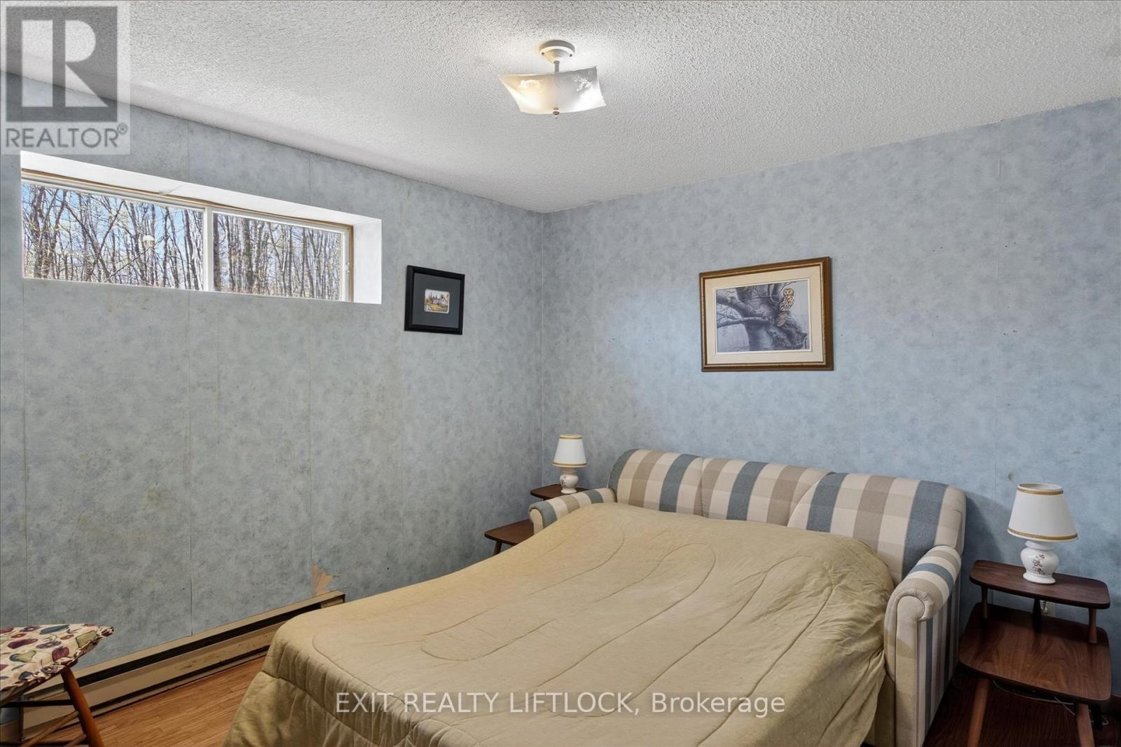 720 County Rd 507, Trent Lakes, Ontario K0L 1J0 - Photo 19 - X13127980
