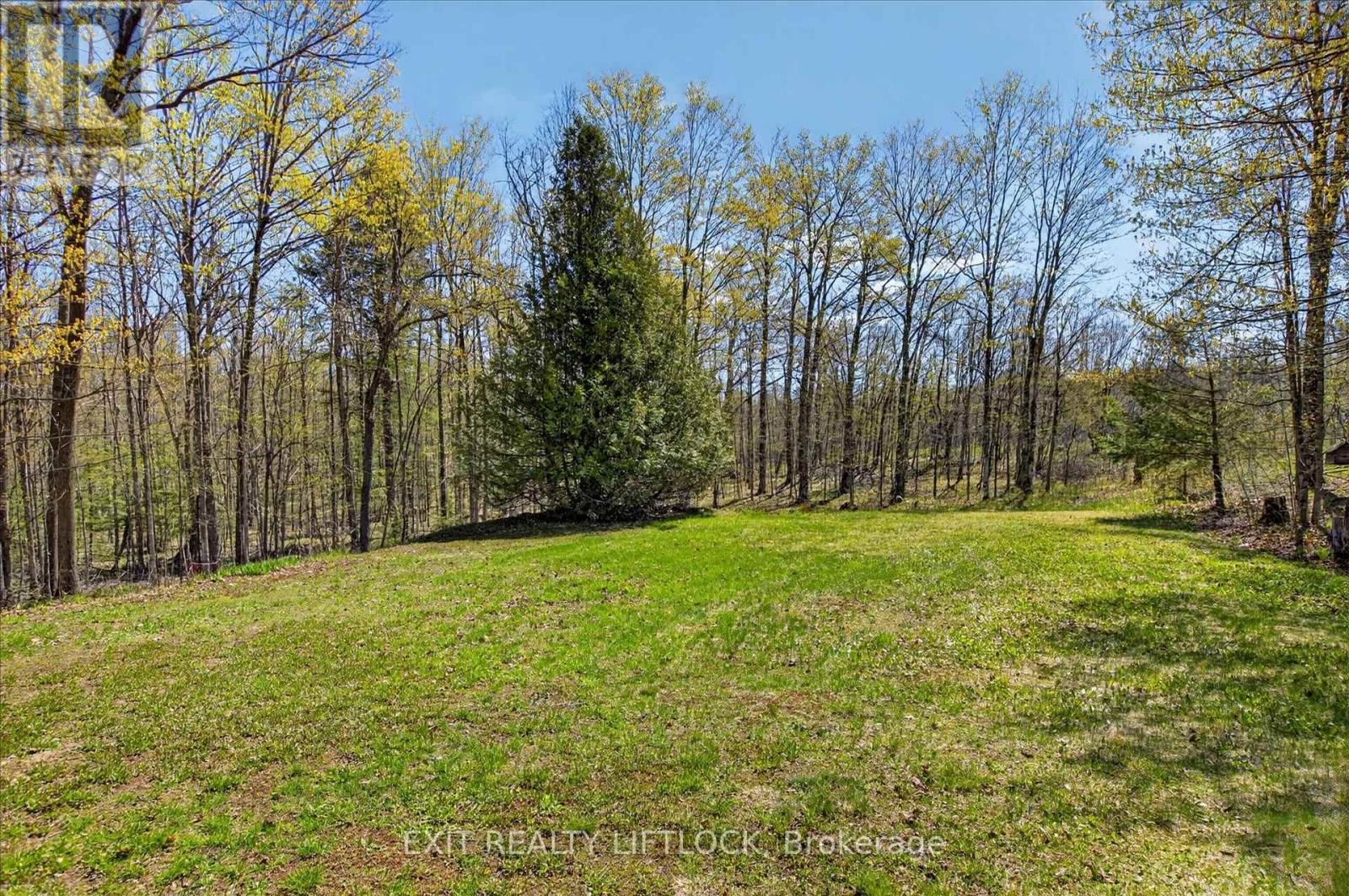720 County Rd 507, Trent Lakes, Ontario K0L 1J0 - Photo 22 - X13127980