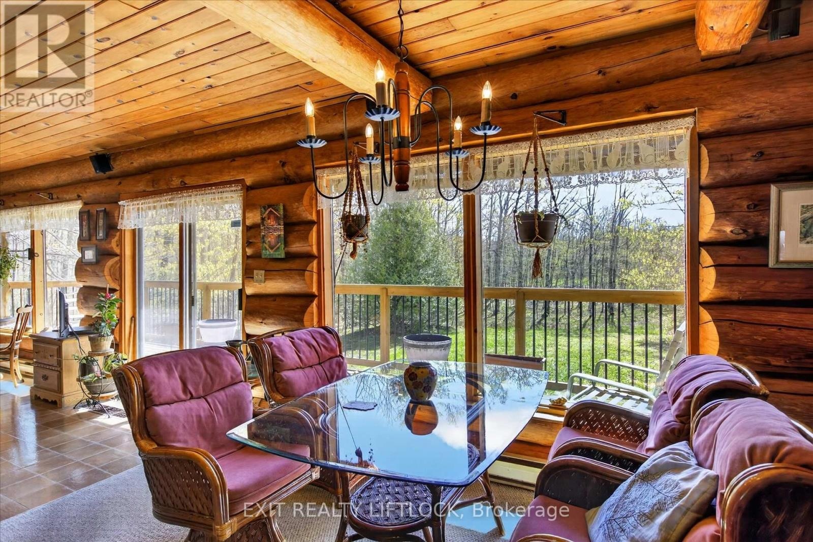 720 County Rd 507, Trent Lakes, Ontario K0L 1J0 - Photo 6 - X13127980