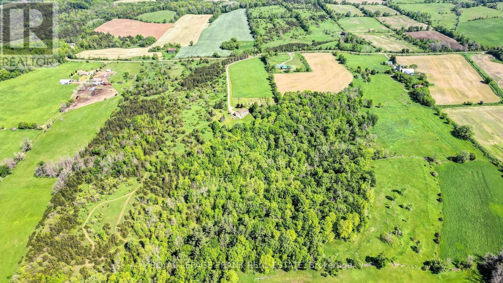 3071 5th Line E, Trent Hills, Ontario K0L 1L0 - Photo 36 - X13132526