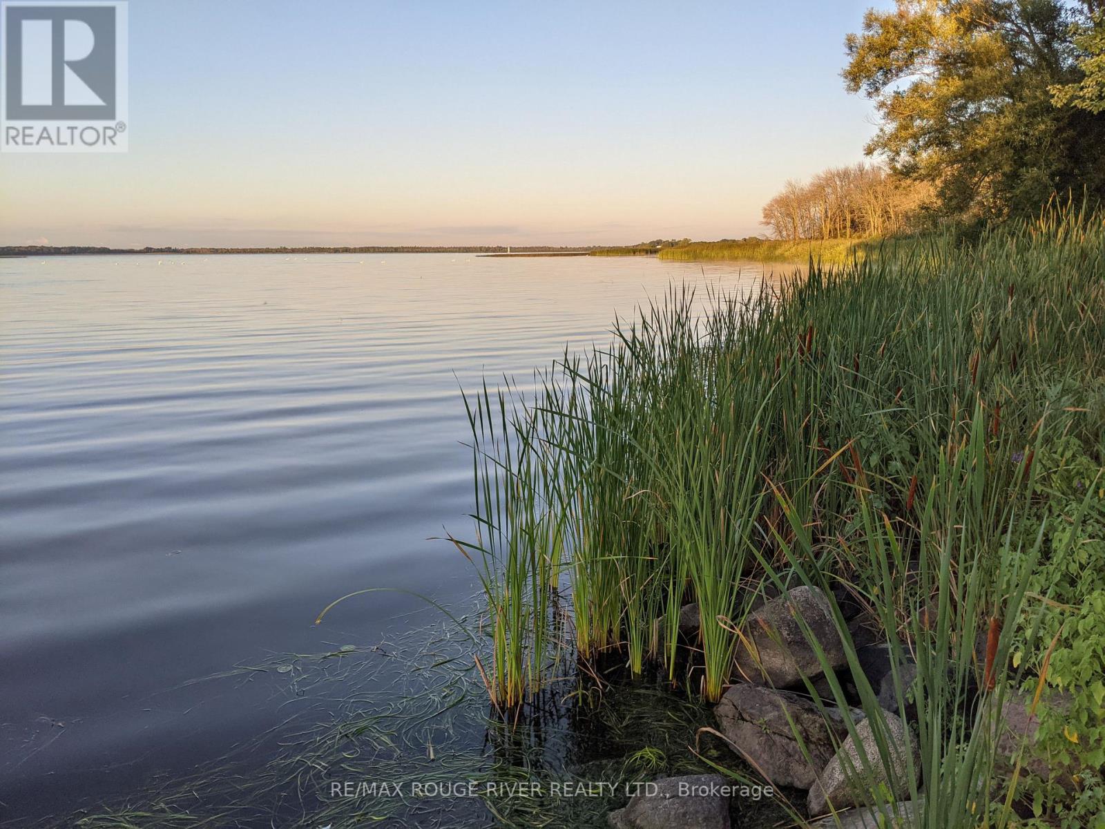 15 Martin Road, Brighton, Ontario K0K 1H0 - Photo 41 - X13133208