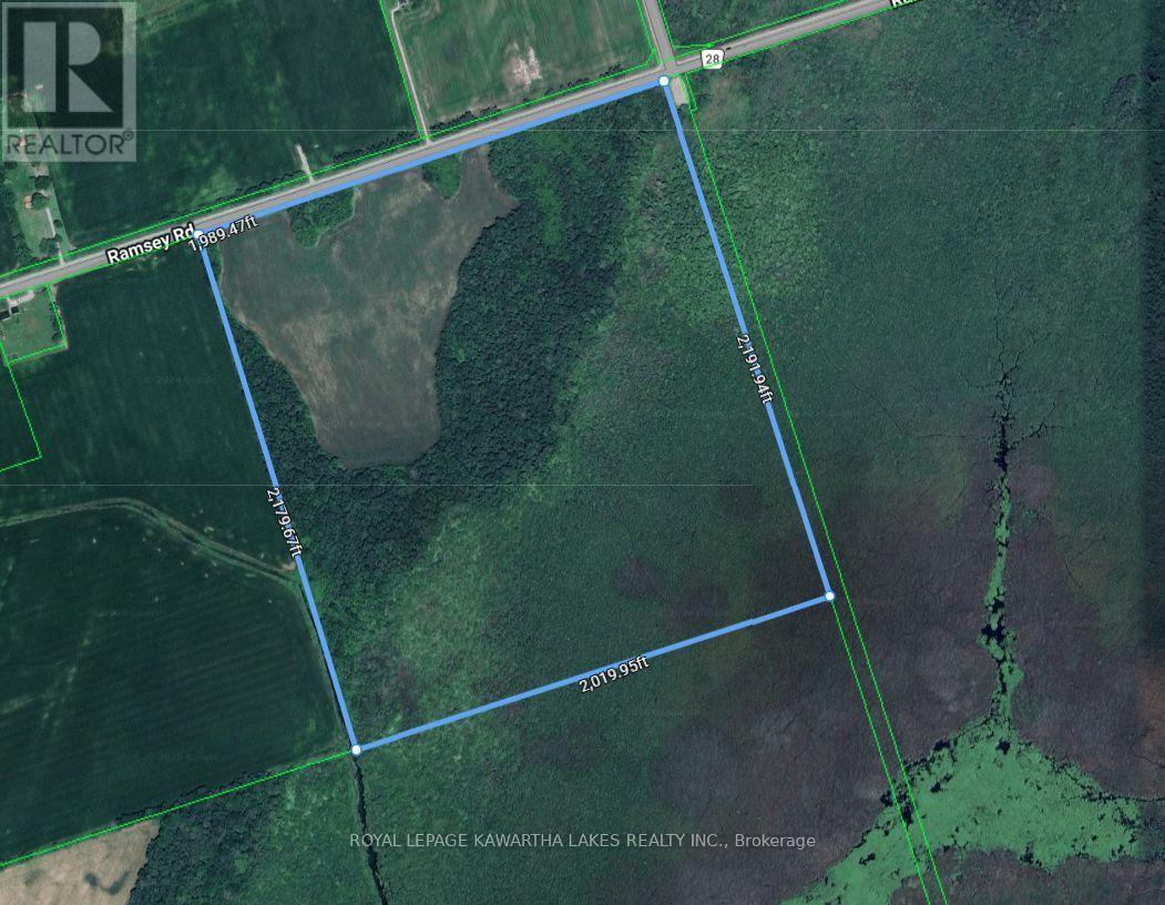 890 Ramsey Road, Kawartha Lakes, Ontario K0M 2C0 - Photo 18 - X13079264