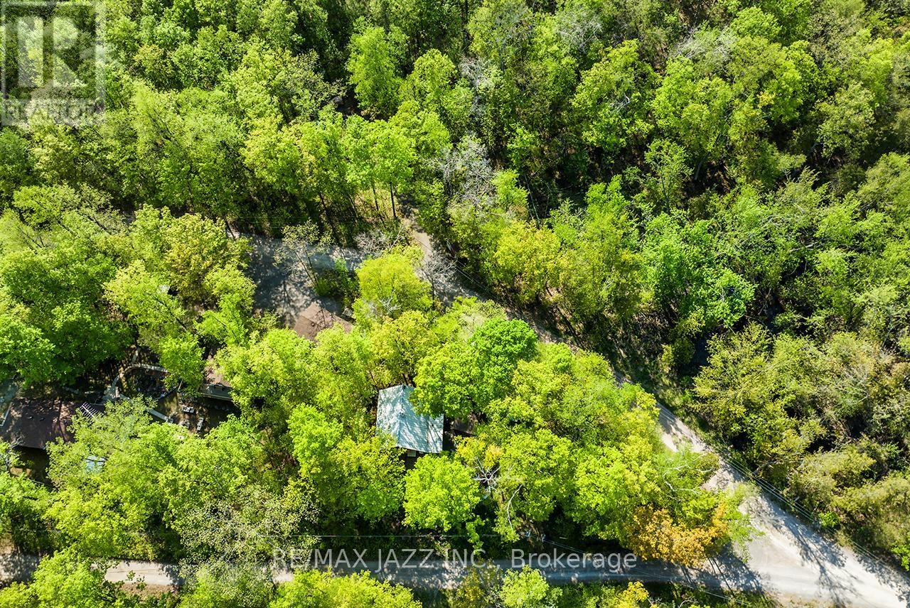 311 Fire Rte 59 Route, Havelock-Belmont-Methuen, Ontario  K0L 1Z0 - Photo 11 - X13148402