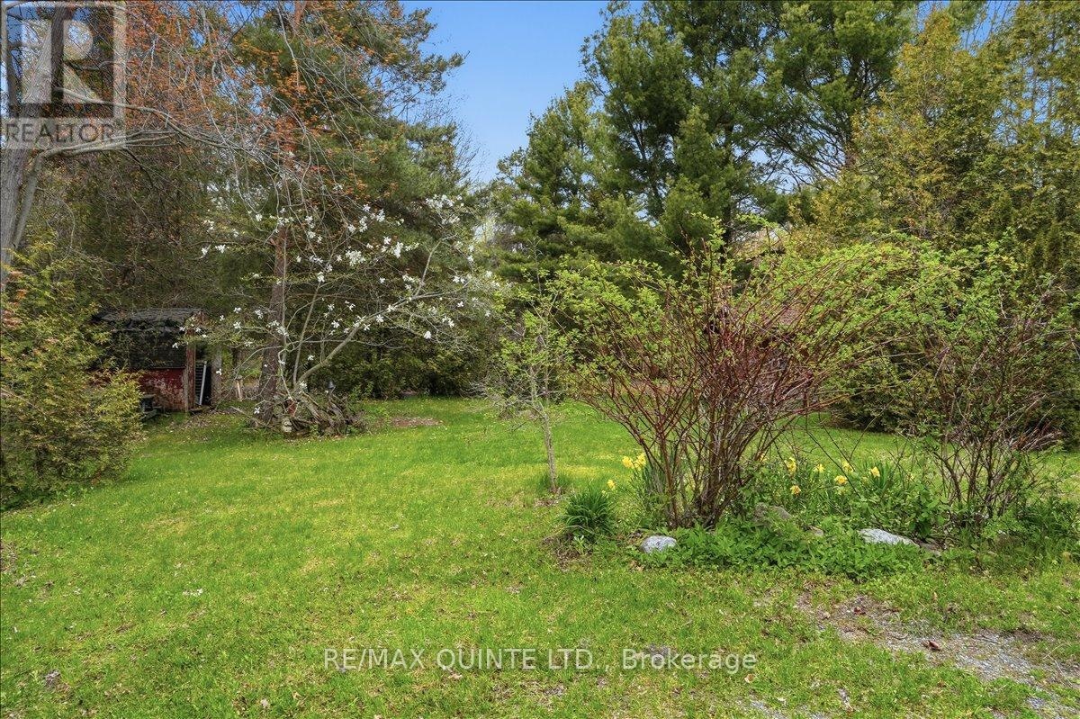 1242 County Road 12, Prince Edward County, Ontario  K0K 2T0 - Photo 32 - X13135224