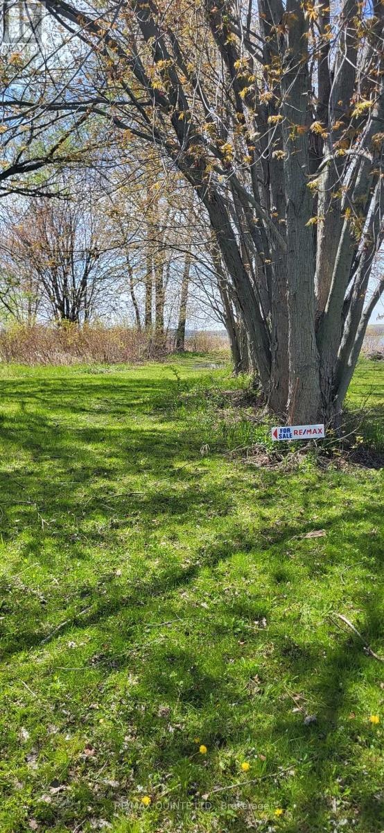 1242 County Road 12, Prince Edward County, Ontario  K0K 2T0 - Photo 30 - X13135224