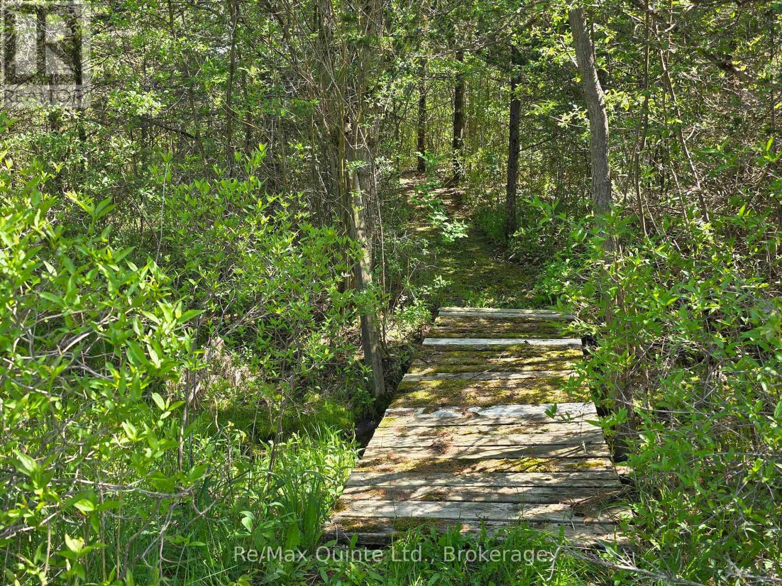 Across From 3904 Cty Rd 49, Prince Edward County, Ontario  K0K 2T0 - Photo 19 - X13163084