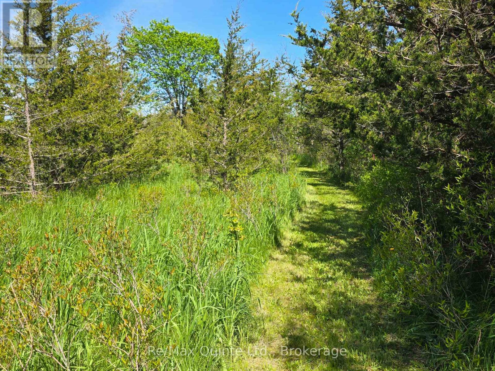 Across From 3904 Cty Rd 49, Prince Edward County, Ontario  K0K 2T0 - Photo 11 - X13163084