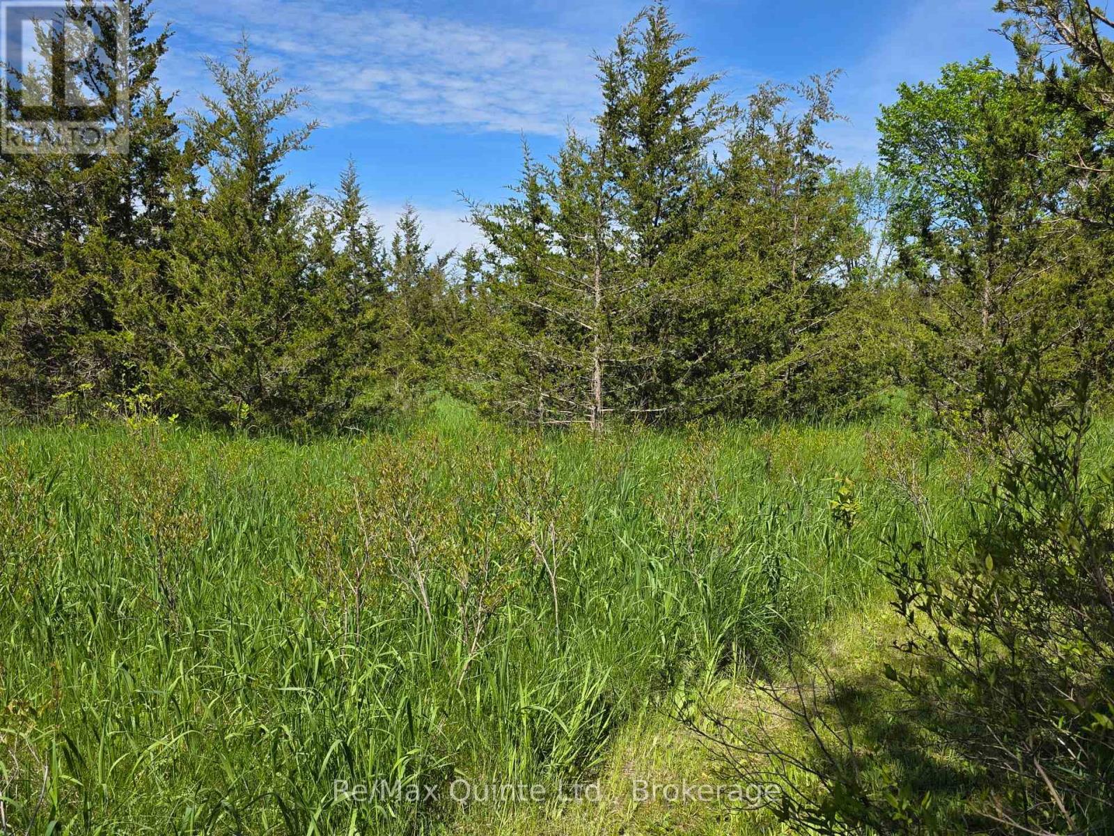 Across From 3904 Cty Rd 49, Prince Edward County, Ontario  K0K 2T0 - Photo 10 - X13163084