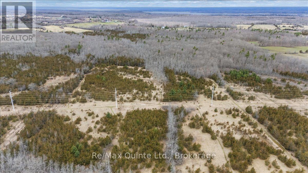 Across From 3904 Cty Rd 49, Prince Edward County, Ontario  K0K 2T0 - Photo 26 - X13163084