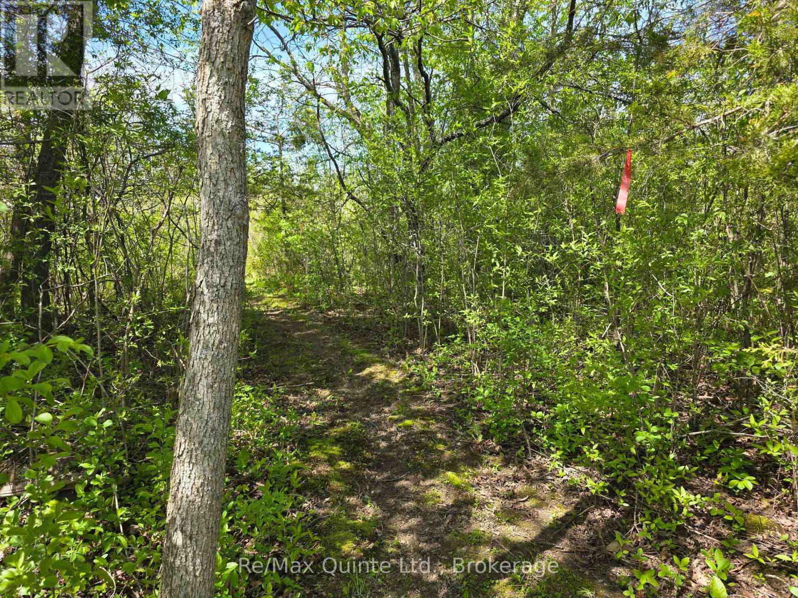 Across From 3904 Cty Rd 49, Prince Edward County, Ontario  K0K 2T0 - Photo 7 - X13163084