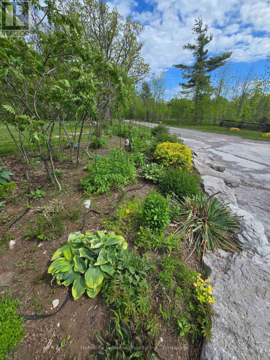 6070 28 Highway, North Kawartha, Ontario  K0L 3E0 - Photo 41 - X13217216