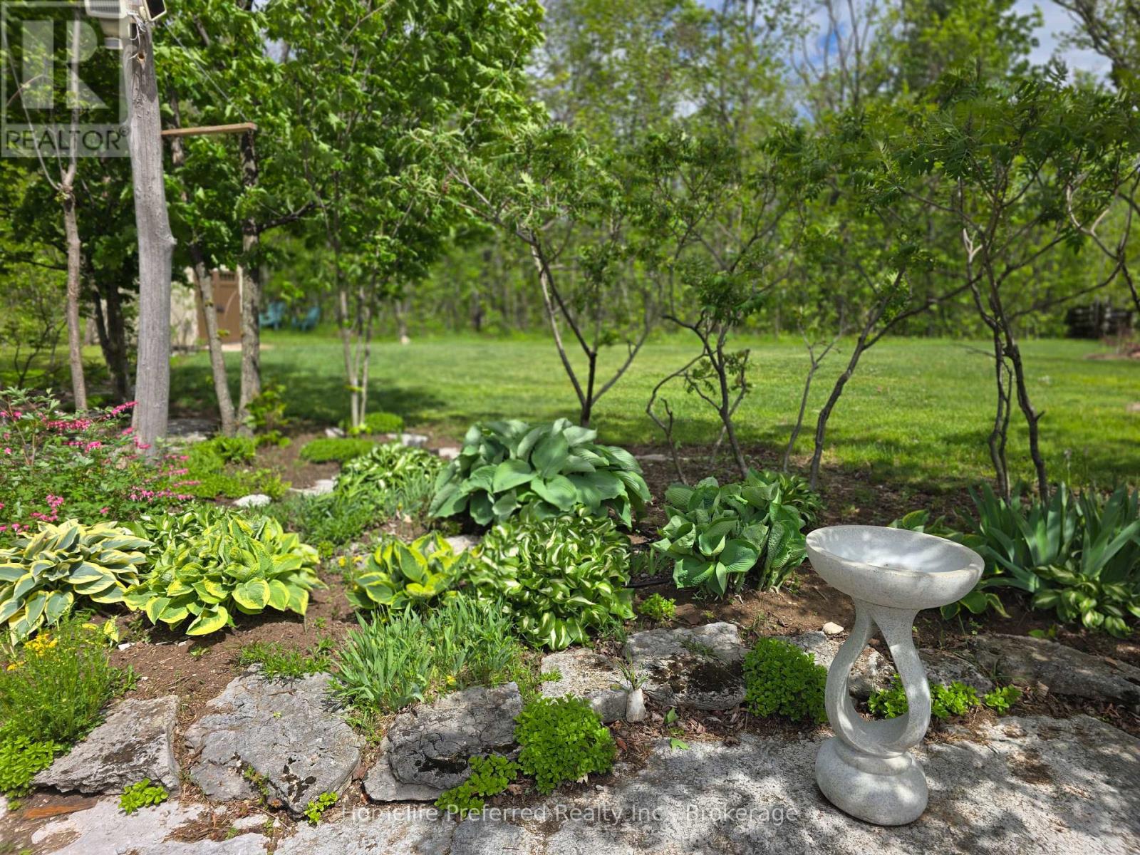 6070 28 Highway, North Kawartha, Ontario  K0L 3E0 - Photo 42 - X13217216