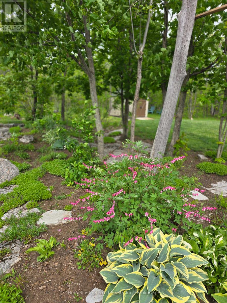6070 28 Highway, North Kawartha, Ontario  K0L 3E0 - Photo 44 - X13217216