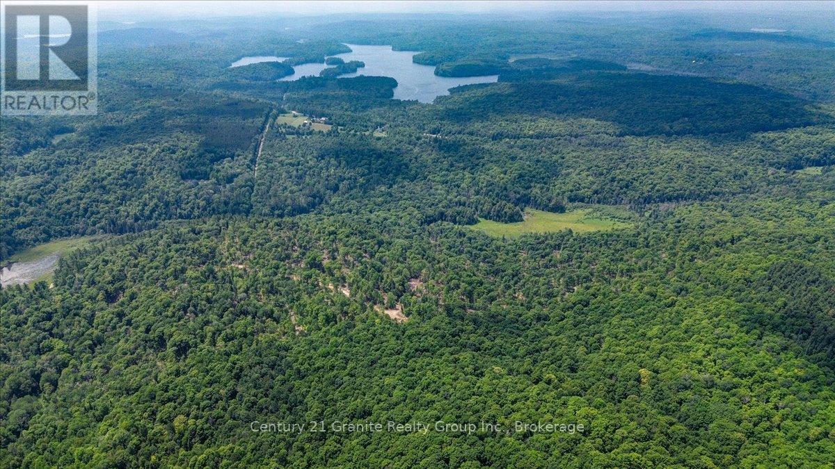 0 Airport Road, Highlands East, Ontario  K0L 1C0 - Photo 10 - X13224356