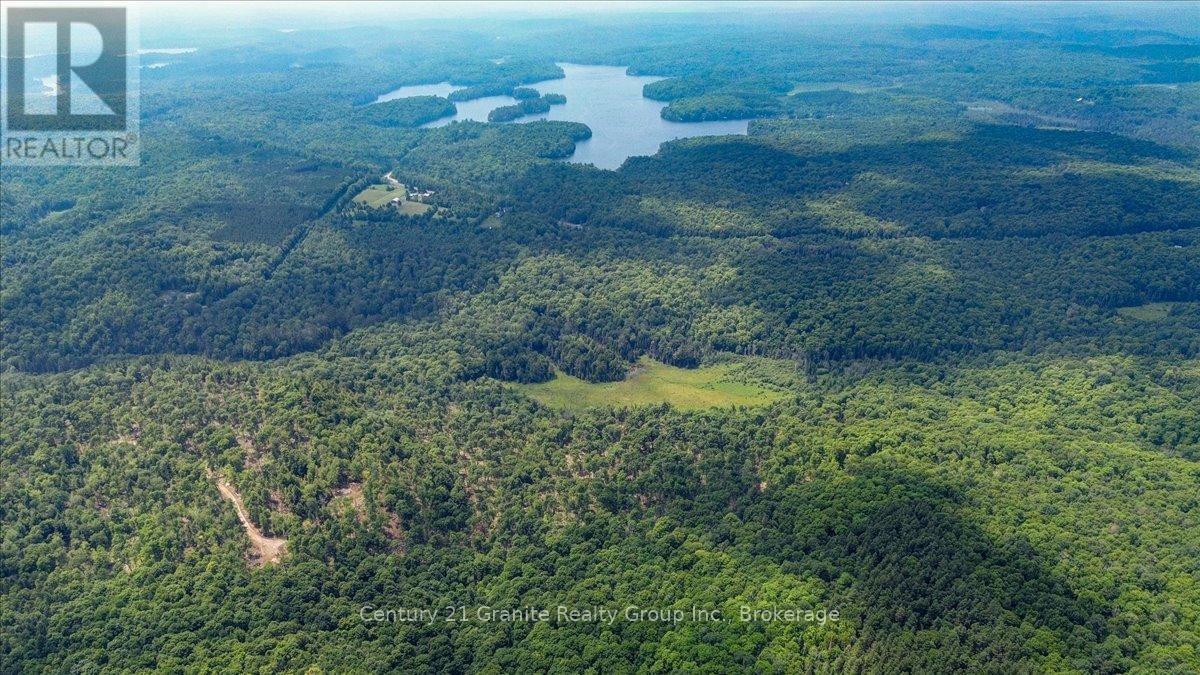0 Airport Road, Highlands East, Ontario  K0L 1C0 - Photo 11 - X13224356