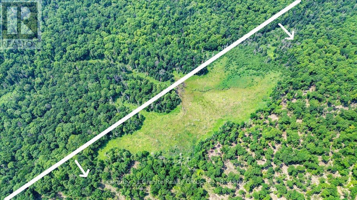 0 Airport Road, Highlands East, Ontario  K0L 1C0 - Photo 16 - X13224356