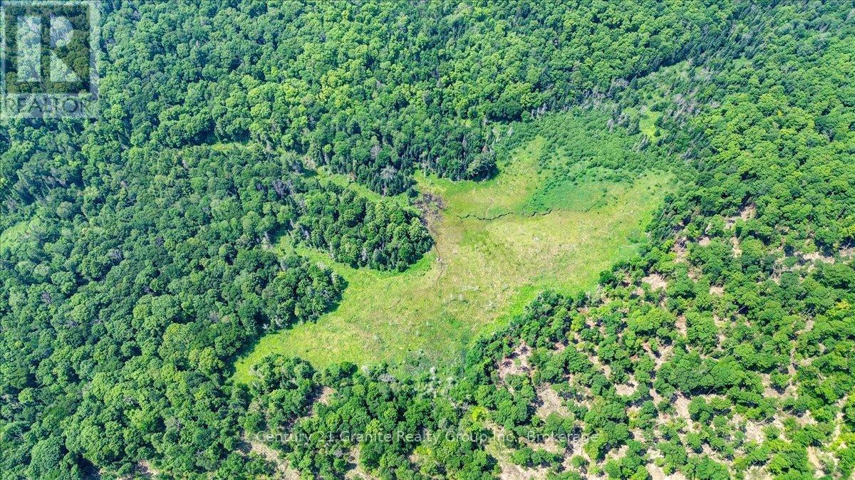 0 Airport Road, Highlands East, Ontario  K0L 1C0 - Photo 17 - X13224356