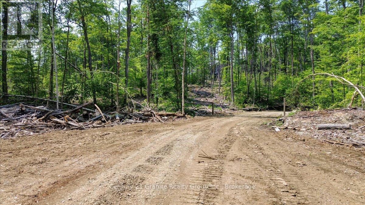 0 Airport Road, Highlands East, Ontario  K0L 1C0 - Photo 18 - X13224356