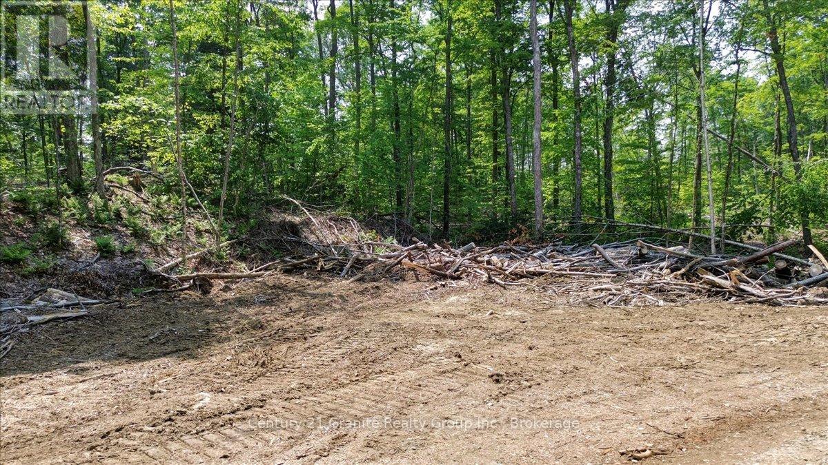 0 Airport Road, Highlands East, Ontario  K0L 1C0 - Photo 19 - X13224356