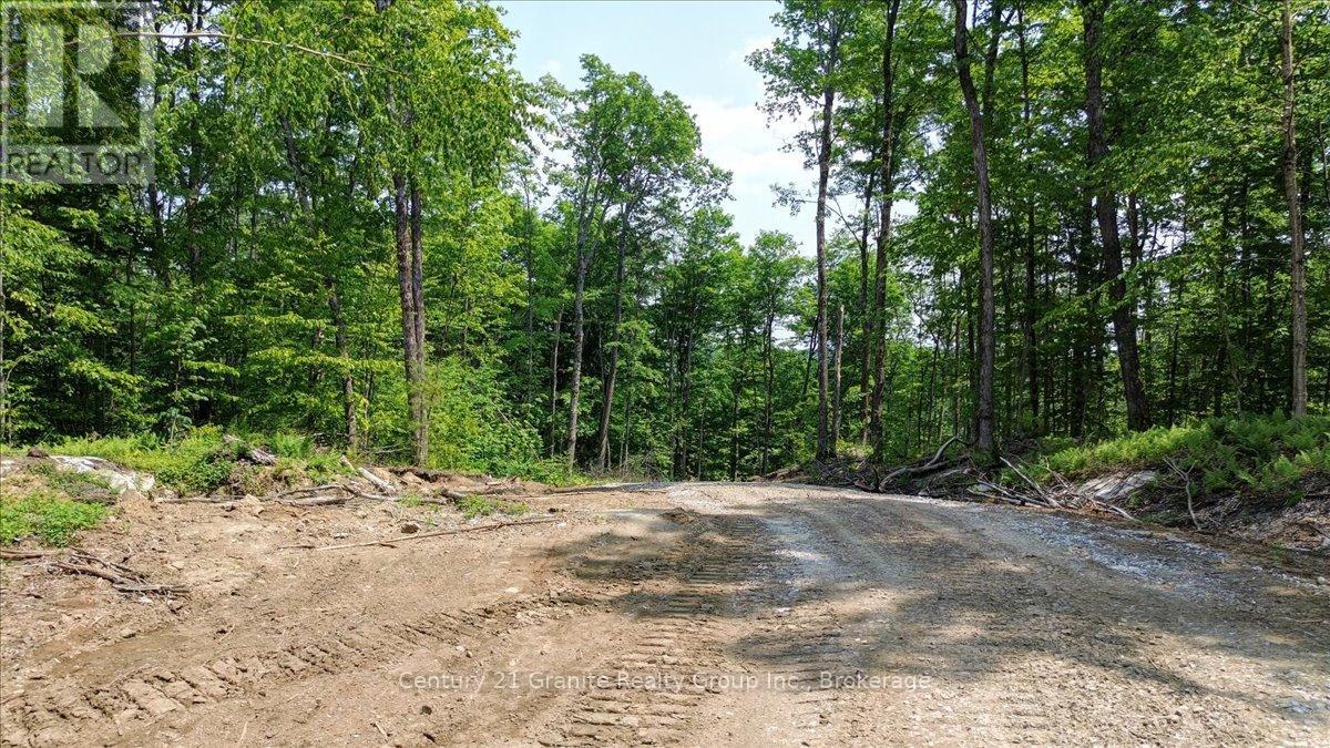0 Airport Road, Highlands East, Ontario  K0L 1C0 - Photo 20 - X13224356
