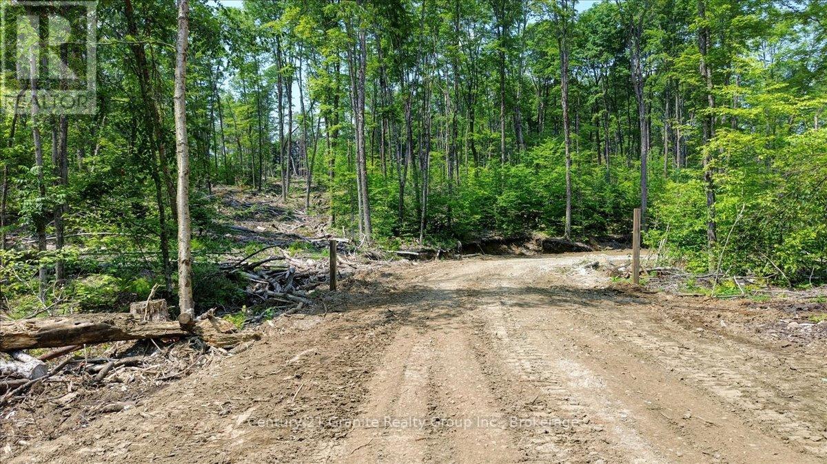 0 Airport Road, Highlands East, Ontario  K0L 1C0 - Photo 21 - X13224356