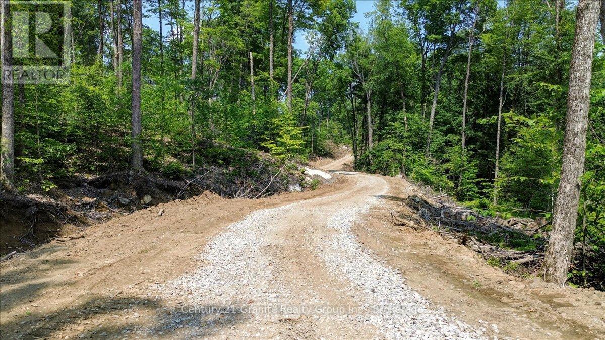 0 Airport Road, Highlands East, Ontario  K0L 1C0 - Photo 23 - X13224356