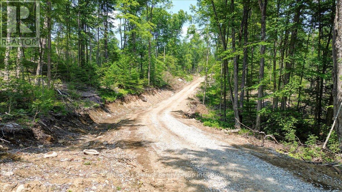 0 Airport Road, Highlands East, Ontario  K0L 1C0 - Photo 24 - X13224356
