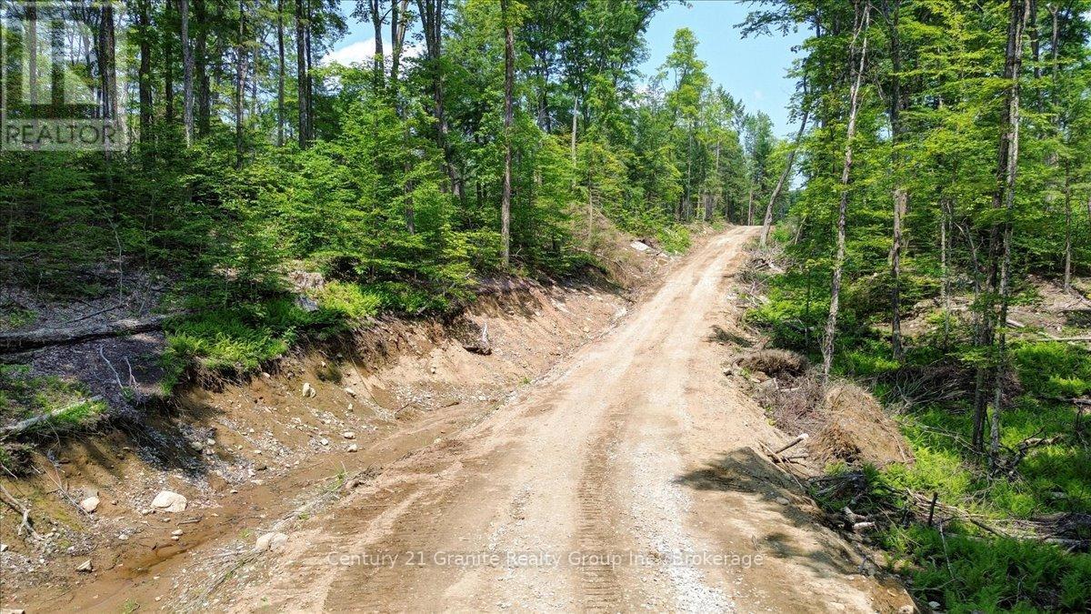 0 Airport Road, Highlands East, Ontario  K0L 1C0 - Photo 25 - X13224356