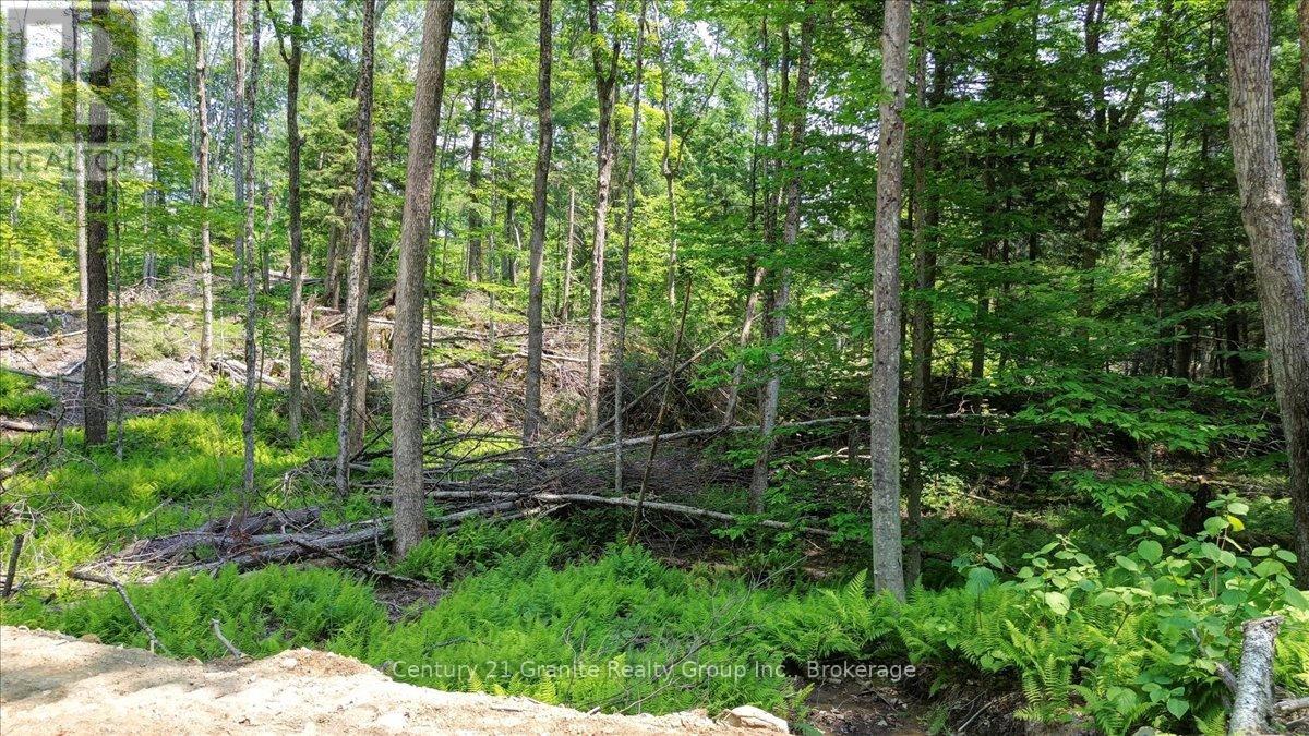 0 Airport Road, Highlands East, Ontario  K0L 1C0 - Photo 26 - X13224356
