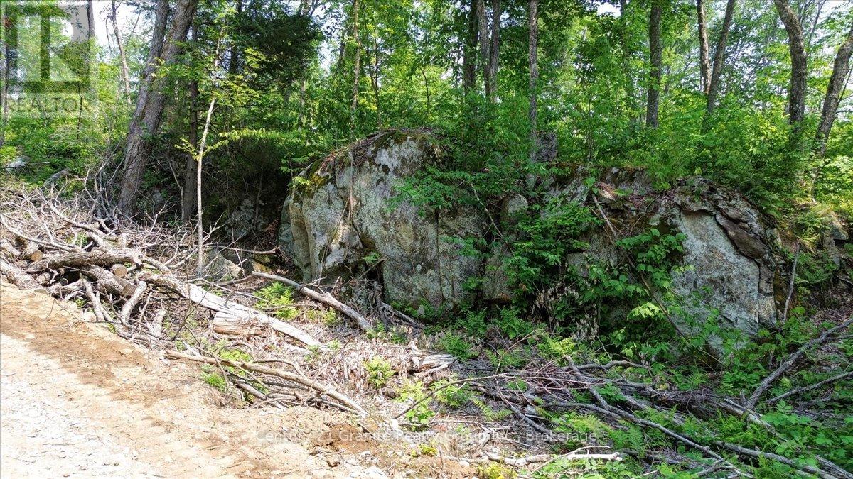 0 Airport Road, Highlands East, Ontario  K0L 1C0 - Photo 27 - X13224356