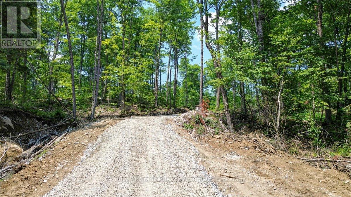 0 Airport Road, Highlands East, Ontario  K0L 1C0 - Photo 3 - X13224356