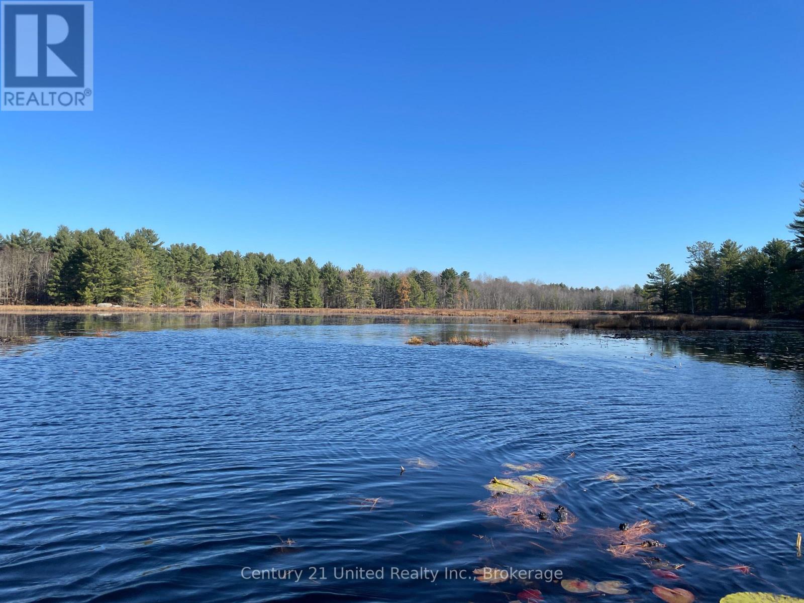 Lt 9 N 1/2 Lt 10 Con 13, Kawartha Lakes, Ontario  L0K 1W0 - Photo 6 - X13227328