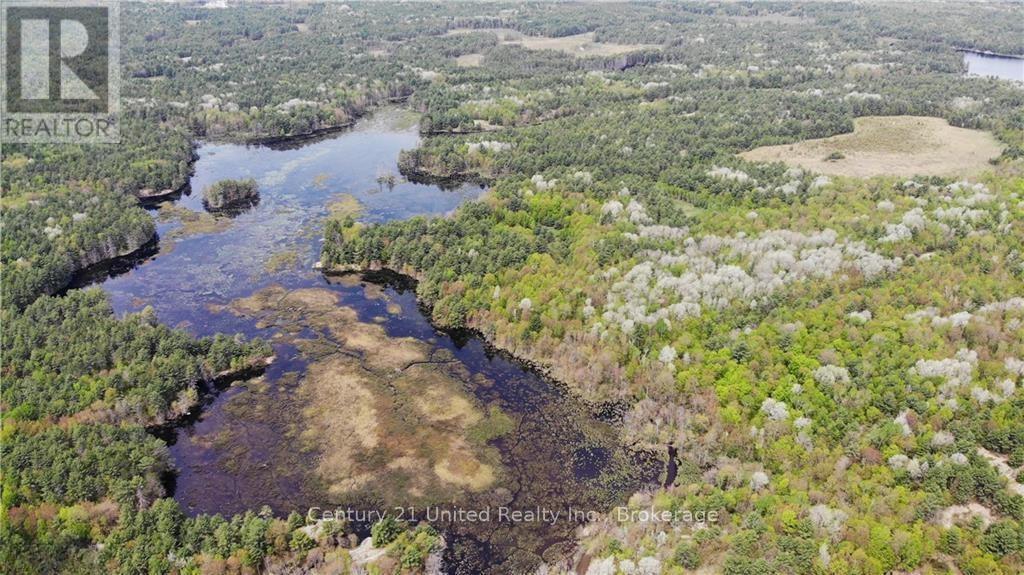 Lt 9 N 1/2 Lt 10 Con 13, Kawartha Lakes, Ontario  L0K 1W0 - Photo 3 - X13227328
