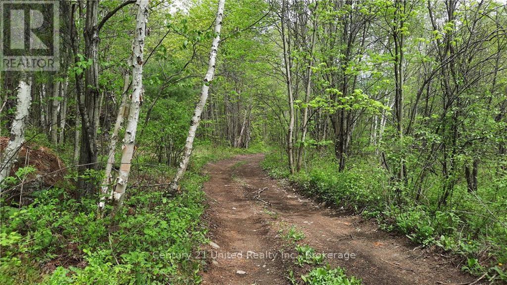 Lt 9 N 1/2 Lt 10 Con 13, Kawartha Lakes, Ontario  L0K 1W0 - Photo 4 - X13227328