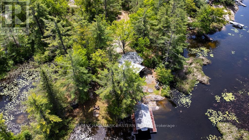 224 Fire Route 79, Trent Lakes, Ontario  K0L 1J0 - Photo 47 - X13235048